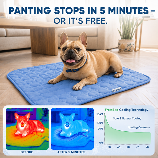 FrostBed™ - Self-Cooling Pet Mat 2.0